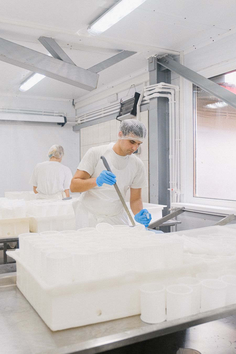 Worker following hygiene controls in a dairy production facility
