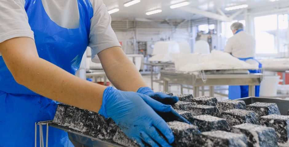 Workers in protective gear handling product in a food processing facility — high-care zones have the strictest pest control rules