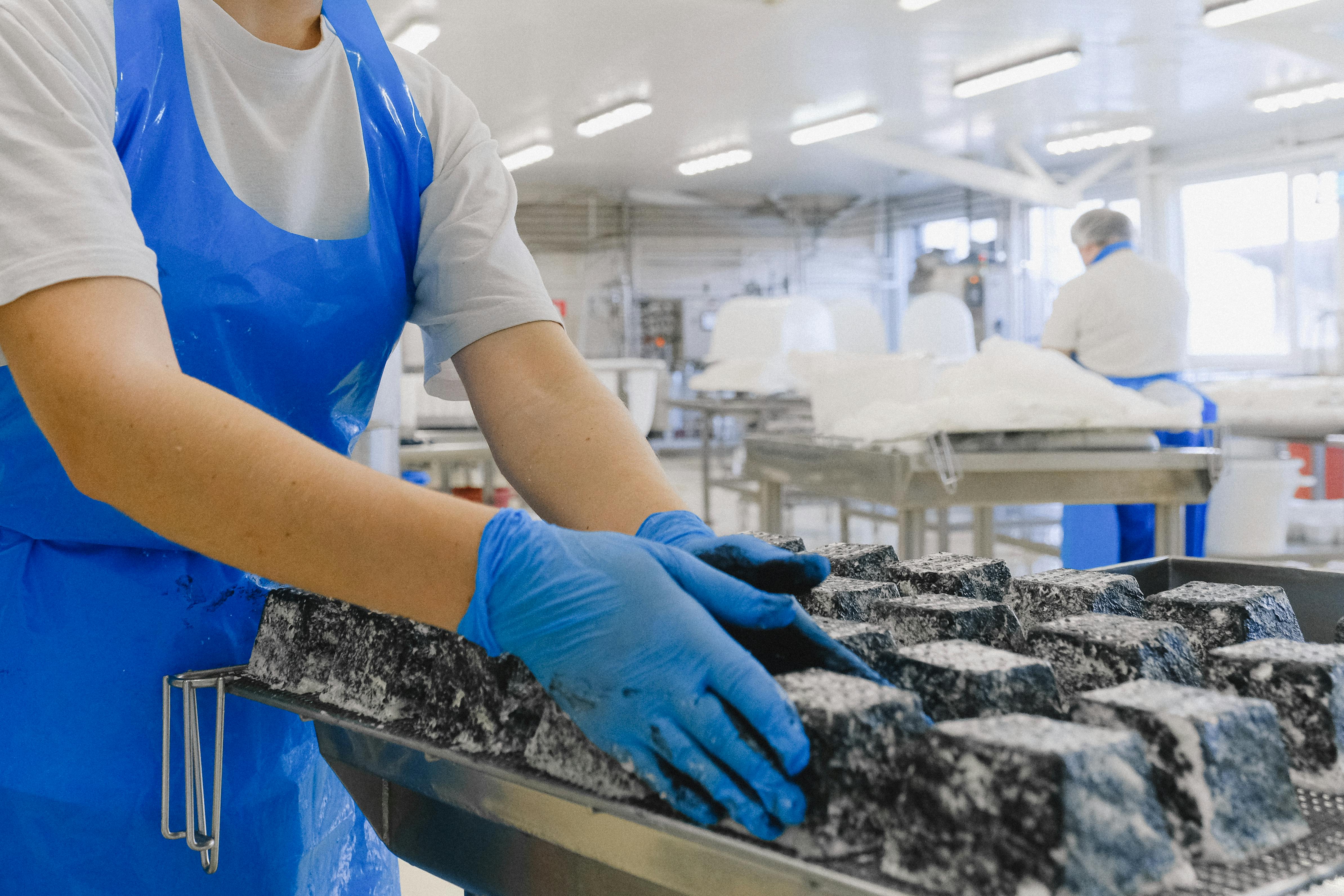 Food Manufacturing Photos, Download The BEST Free Food Manufacturing