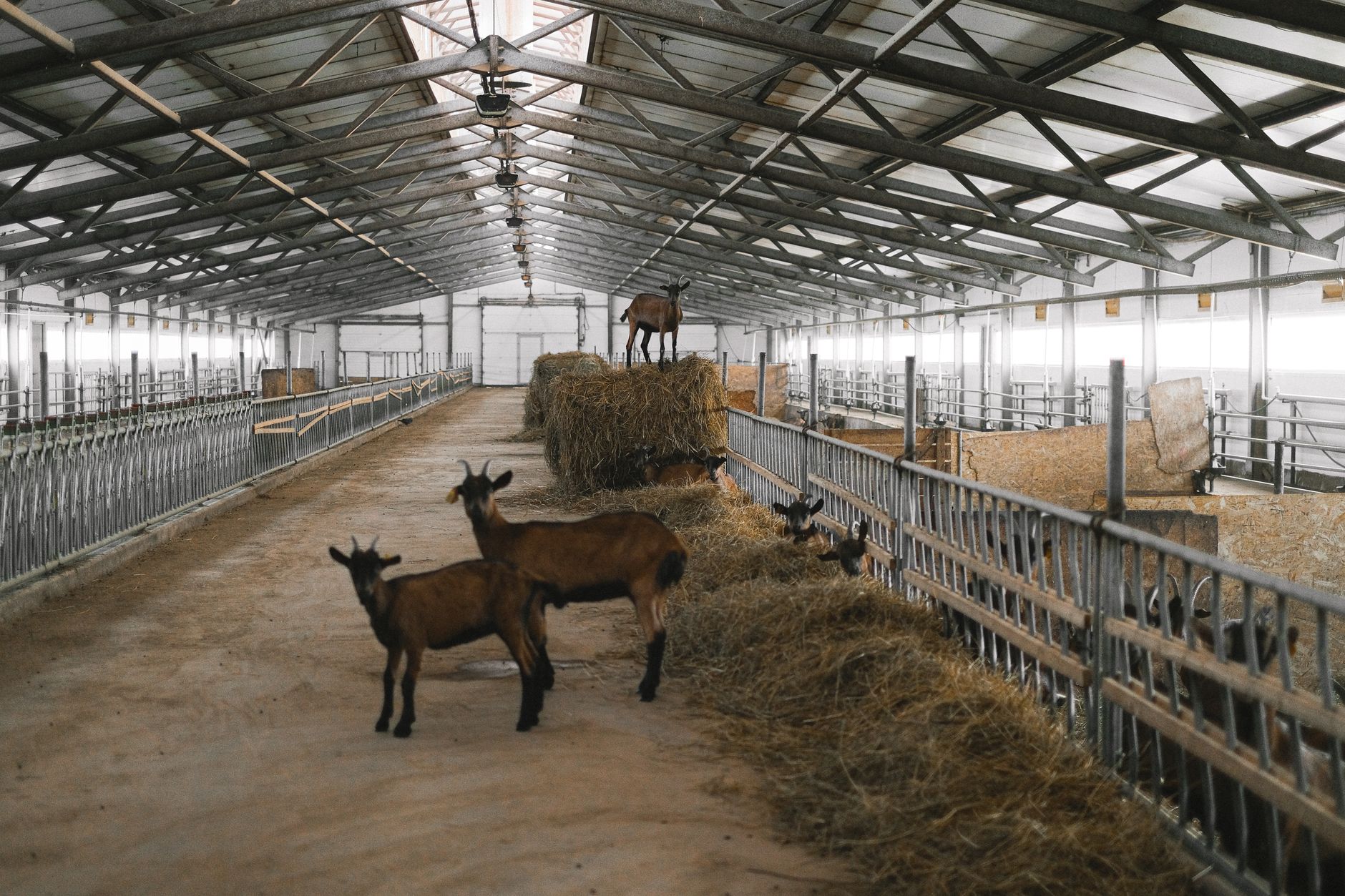 How Advanced Ag-Tech Is Securing the Future of Restaurant Supply Chains