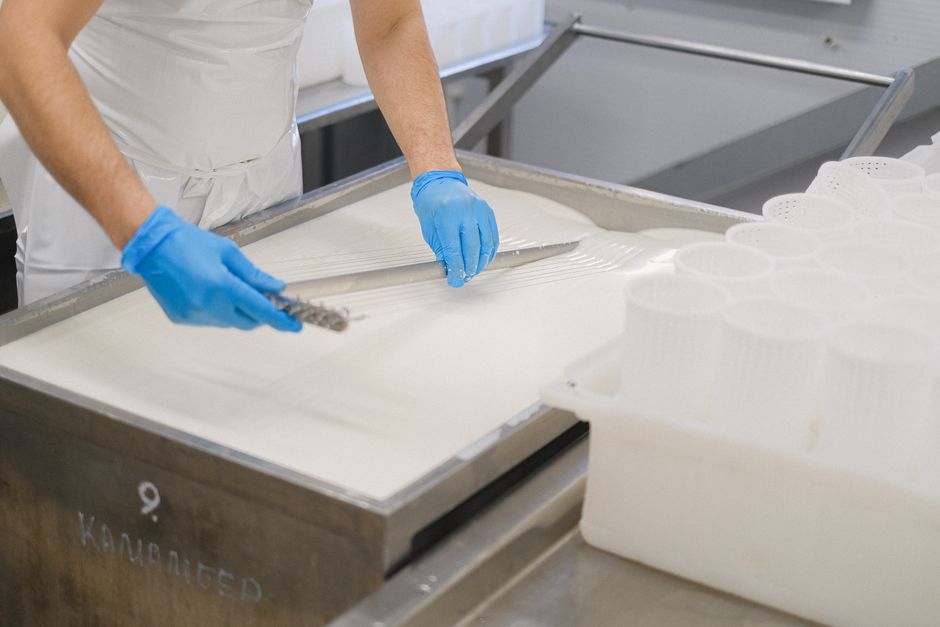 A worker in blue gloves cuts curds in a cheese factory using specialized tools.
