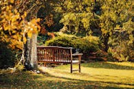 在宁静的肯特公园里，一张木制长凳被充满活力的秋叶环绕