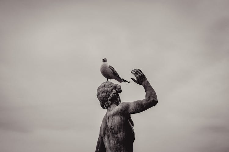 Seagull On Head Of Statue Under Cloudy Sky