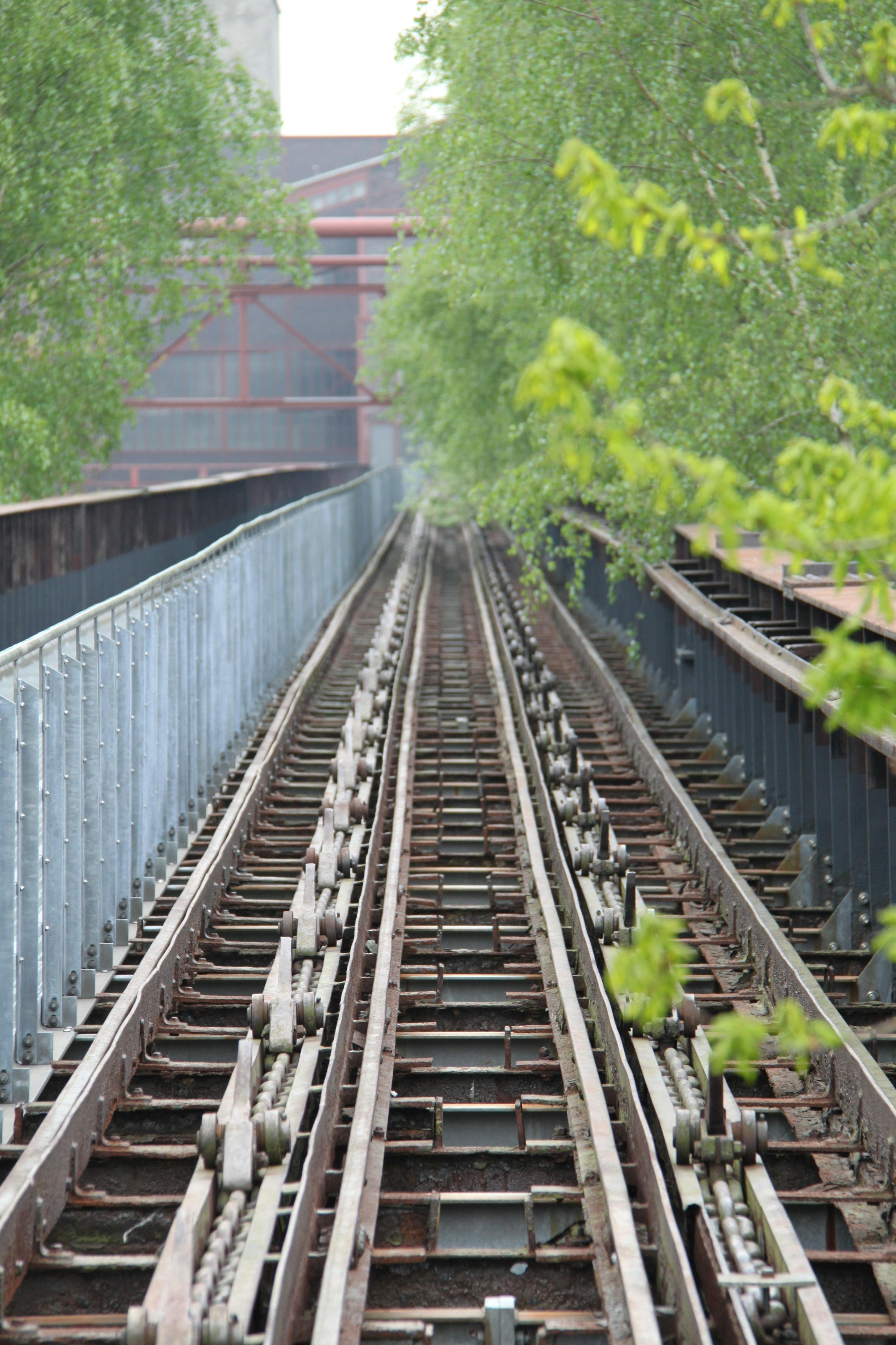 Free stock photo of future, railroads, train track