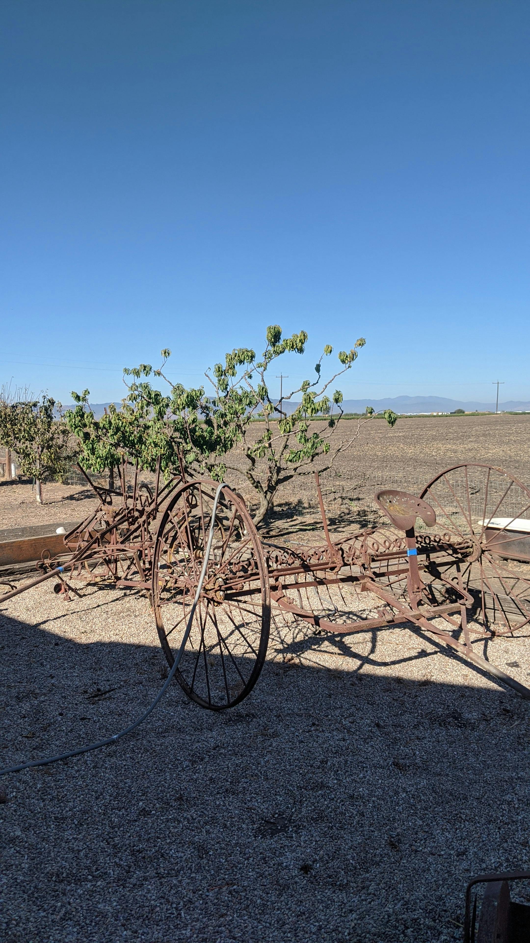 Thành viên CLB đang chơi cầu lông