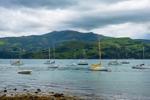 Rotorua, New Zealand photo 7