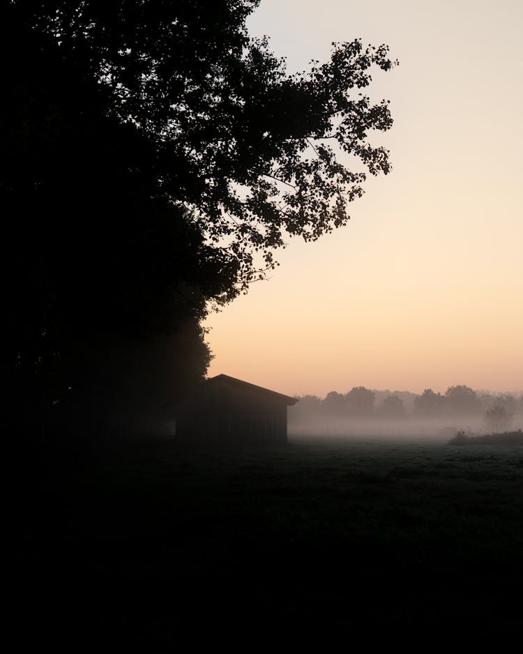 Silhouette Of Tree And House During Sunset