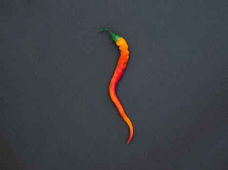 From Farm to Table: The Journey of a Pepper