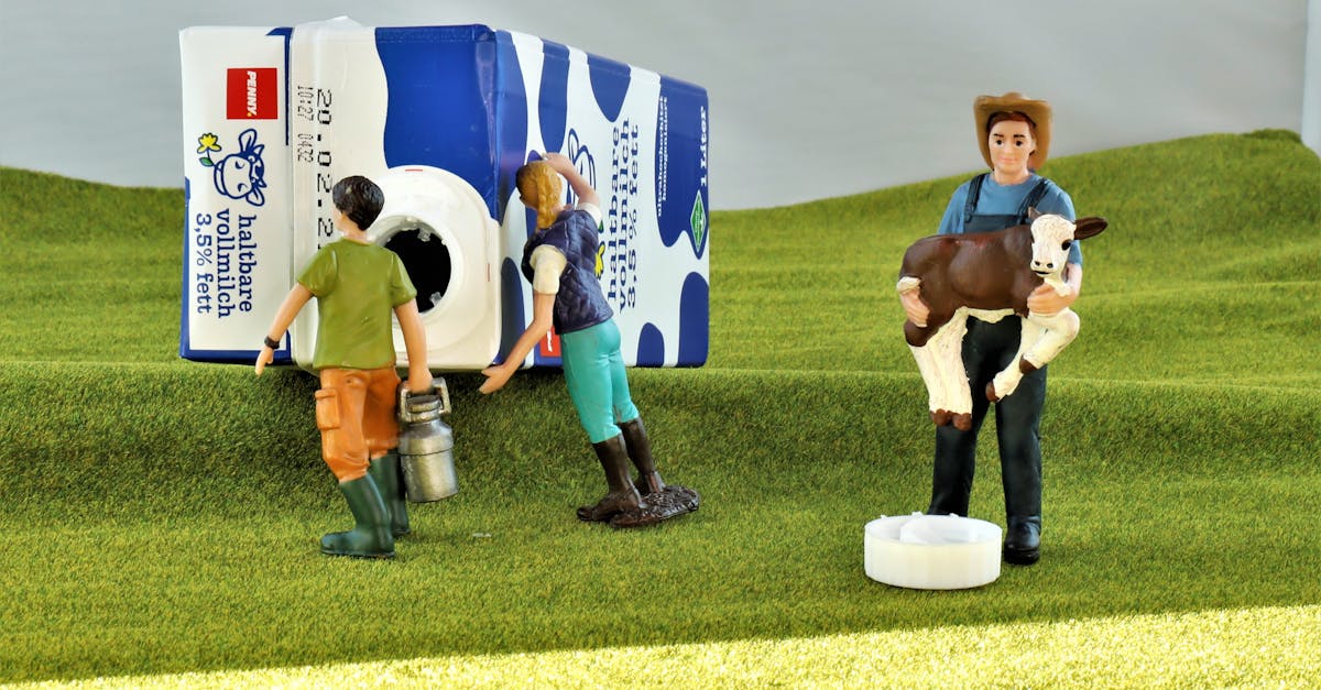 輕小說改編 H5 遊戲 異世界悠閒農家 夢想生活 開放事前預約