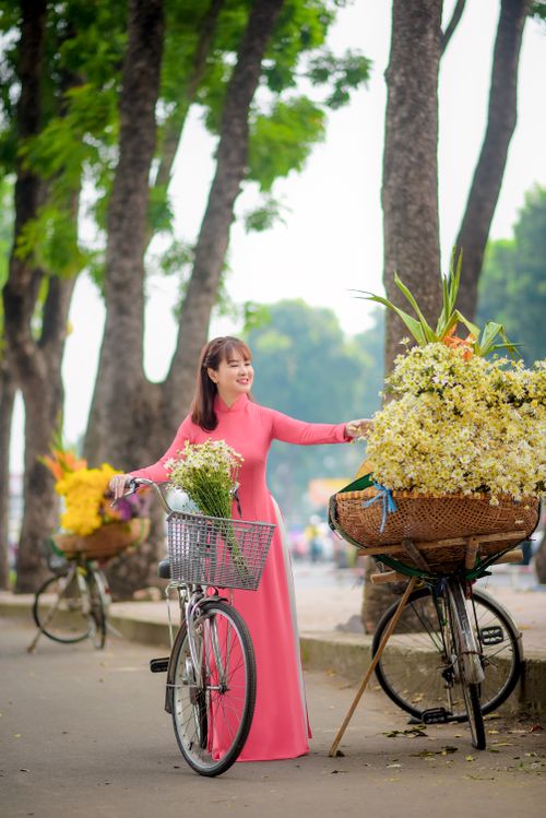 Free Asian woman in traditional Ao Dai with a bicycle basket full of flowers in a street setting. Stock Photo