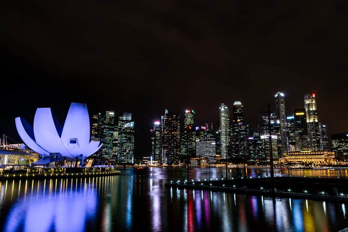 City Skyline during Night Time
