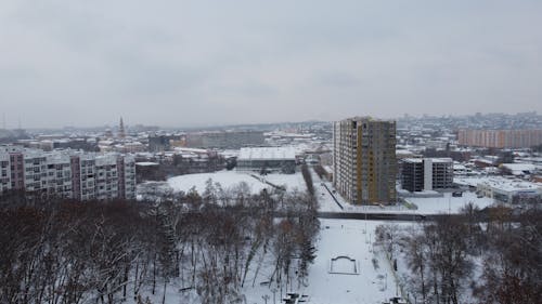 Immagine gratuita di città, congelando, coperto di neve