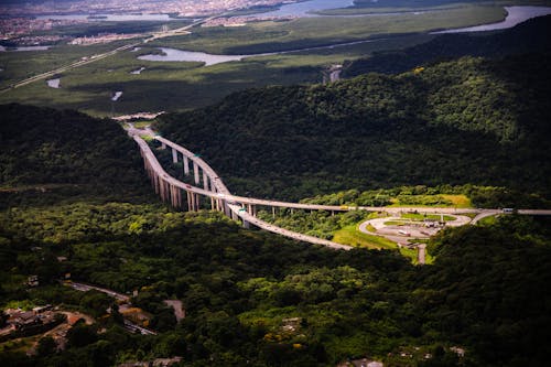 Free
An Aerial Shot of Bridges over Forests Stock Photo