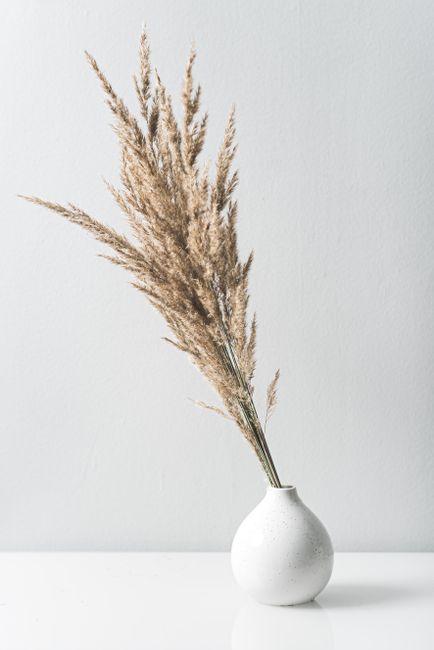 Elegant white vase with dried pampas grass against a soft gray background, perfect for modern home decor.