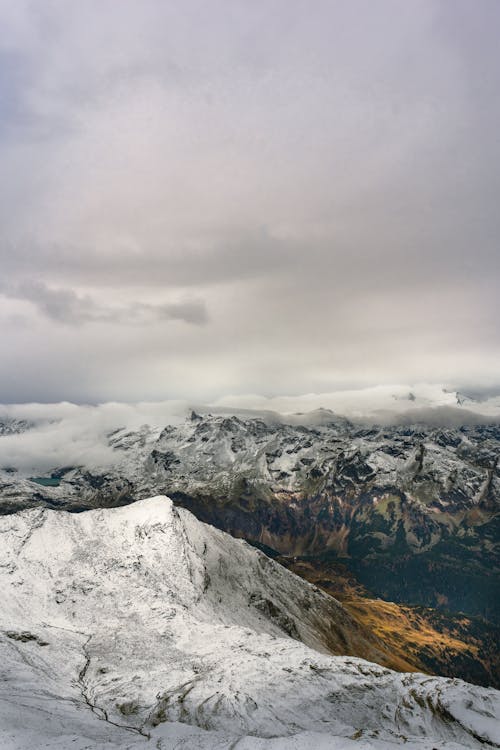 Foto profissional grátis de coberto de neve, inverno, meio ambiente