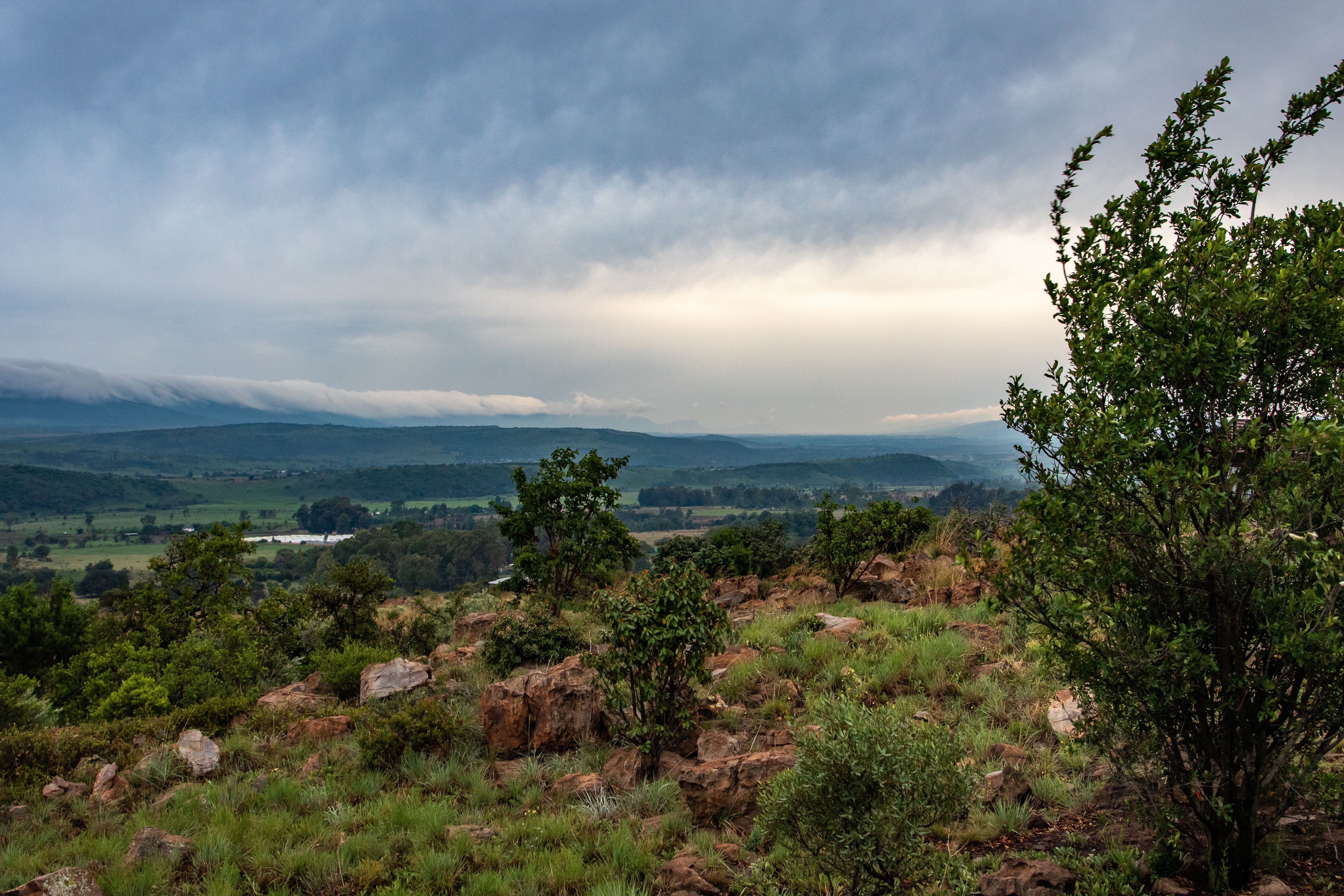 Ridgetop hillside view over Highland Rim