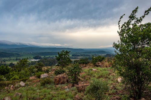 Imagine de stoc gratuită din copaci verzi, fotografie cu natură, munți