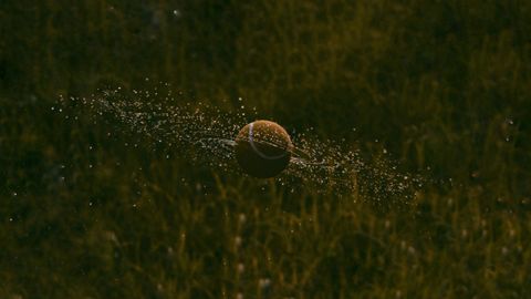 The grass plays slower now claim and what would actually settle it