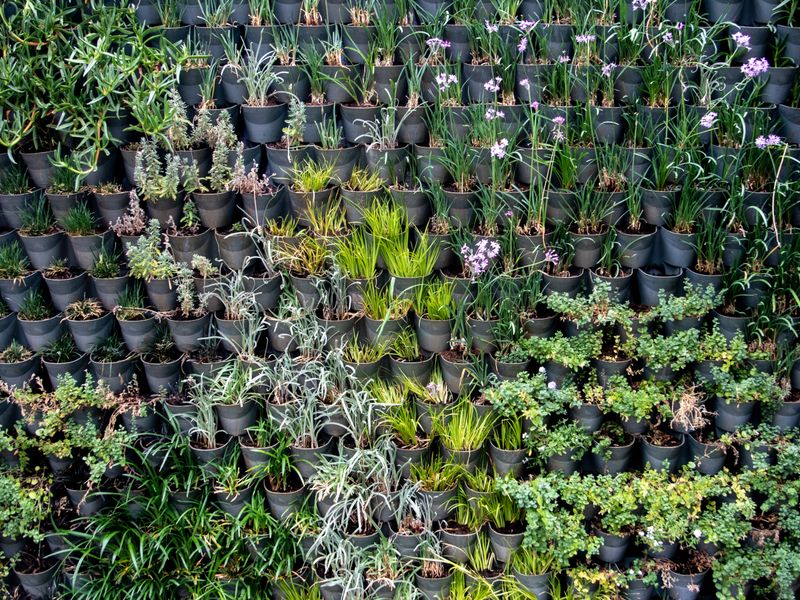 Panel de jardín vertical con plantas en macetas negras instalado en Costa Blanca