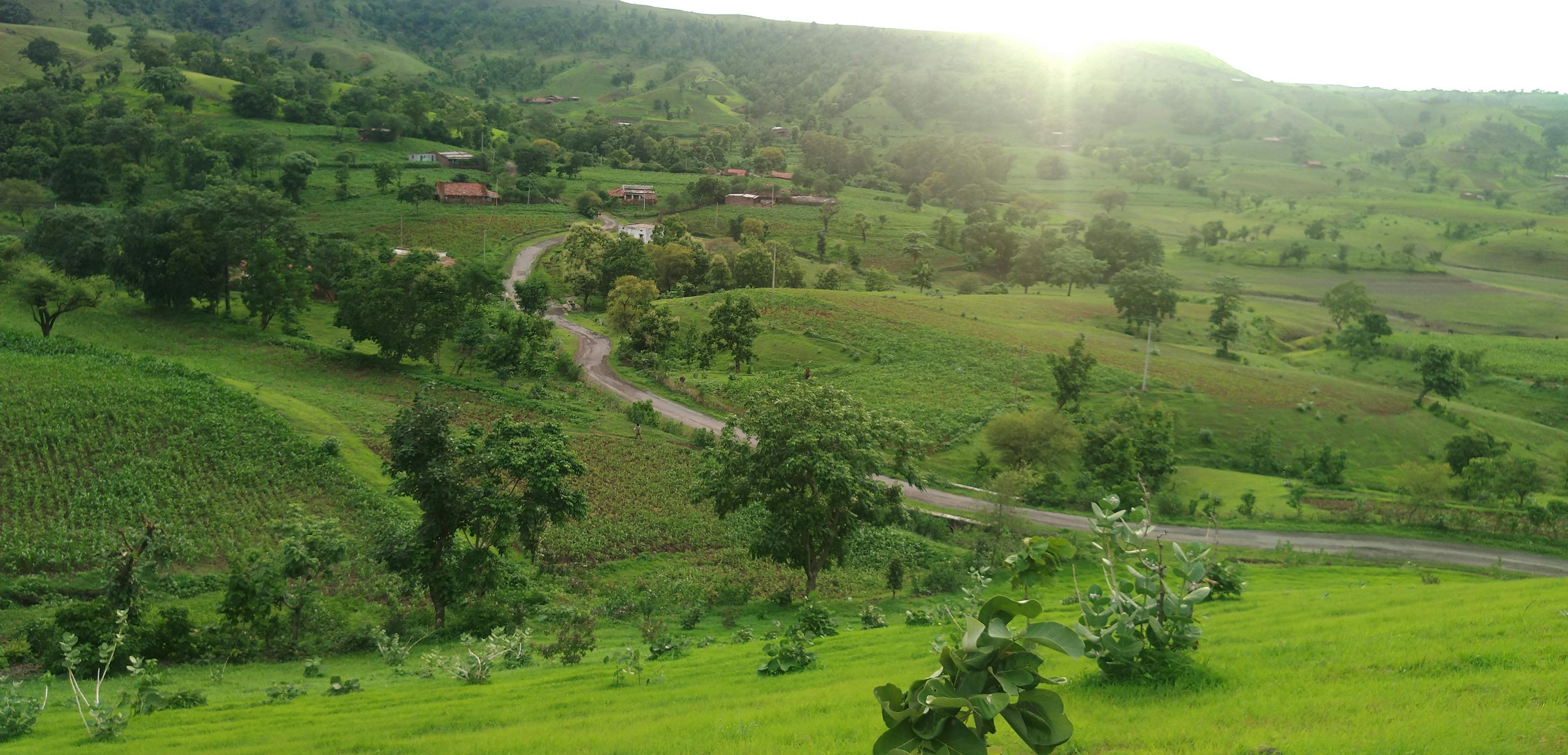 Apple用戶緊急警報:Google搜尋這兩個詞彙為何會引發2026年網路安全危機? Apple用戶緊急警報:Google搜尋這兩個詞彙為何會引發2026年網路安全危機?