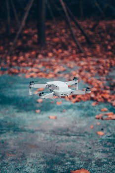 A drone flying low over a park with vibrant autumn leaves scattered on the ground.