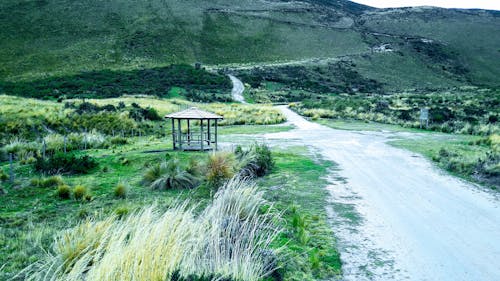 Foto stok gratis jalan setapak, jalan tanah, jejak gunung