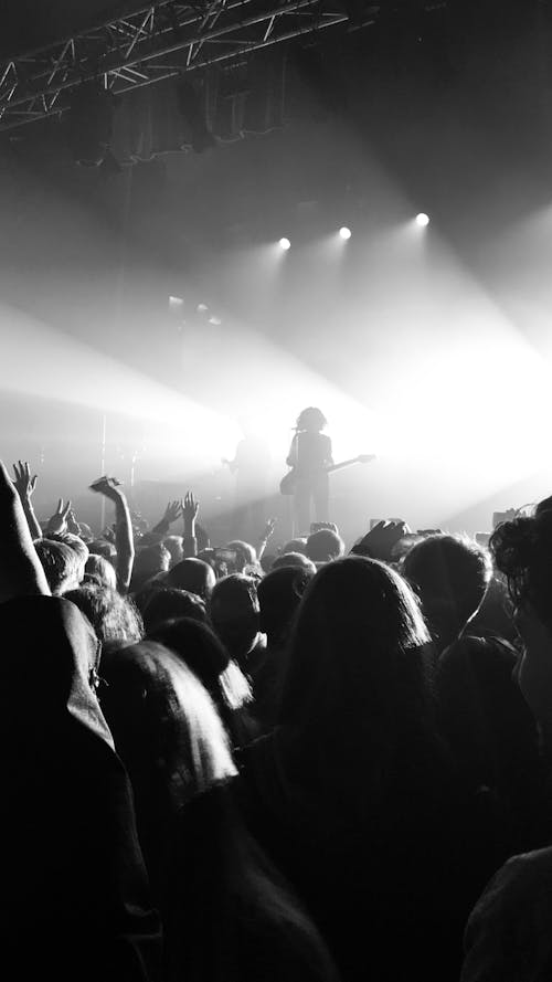 Kostnadsfri bild av folkmassa, gråskale, konsert