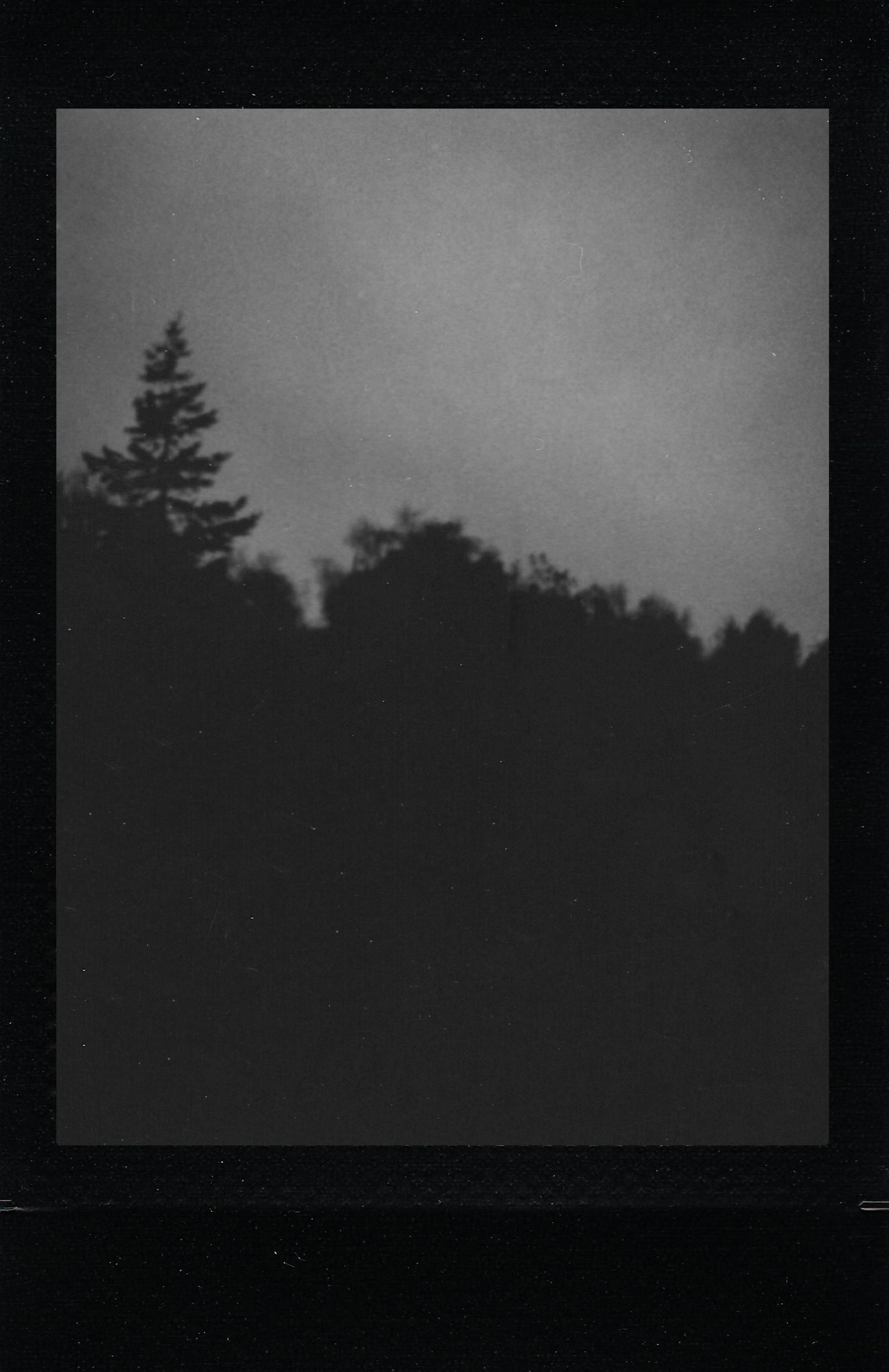A moody grayscale silhouette of a forest against a cloudy sky.