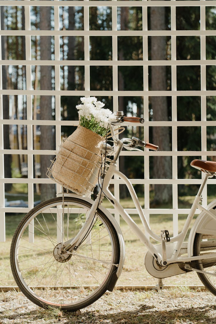 Basket Of White Flowers On A Bicycle