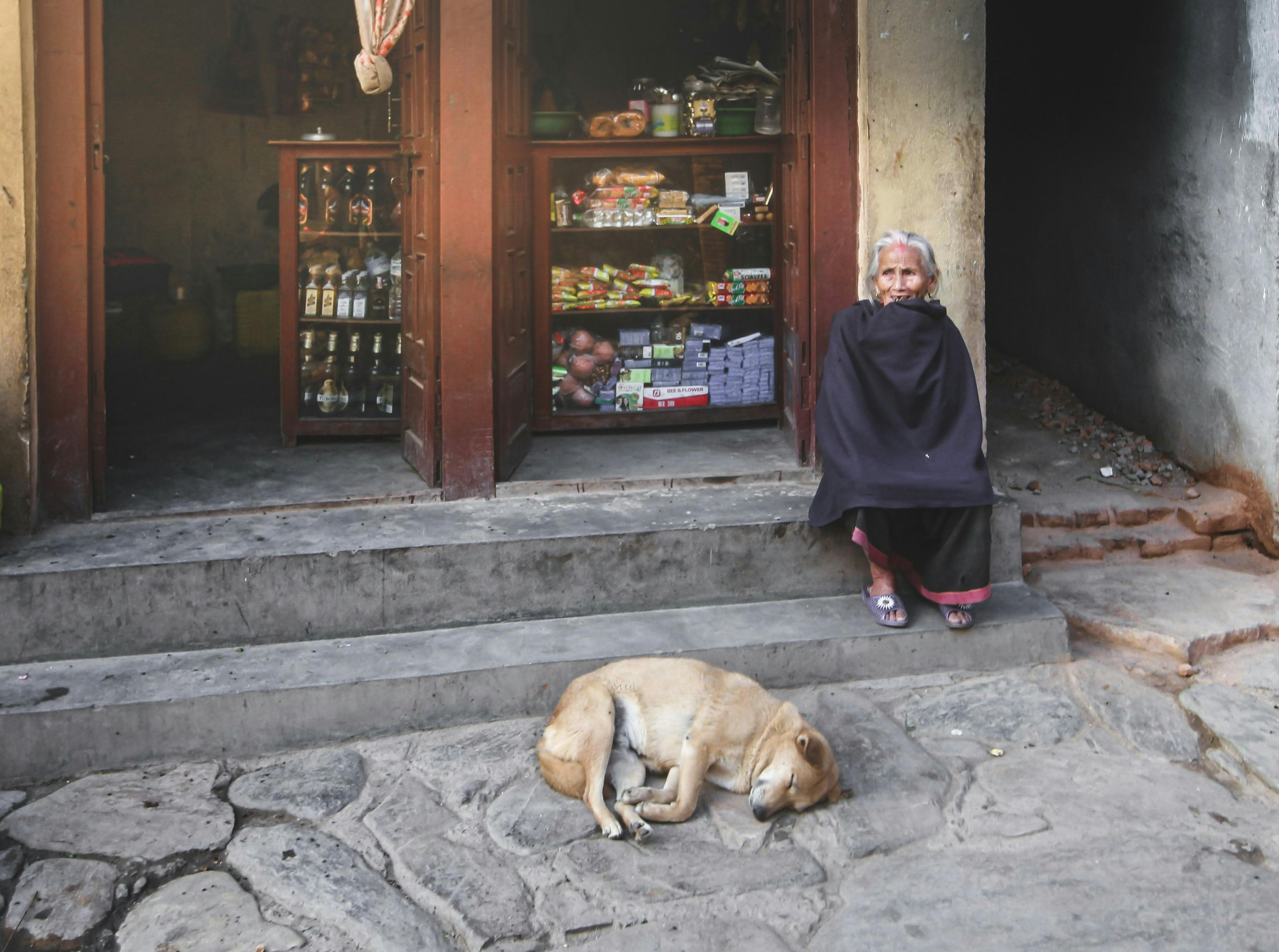 senior indian woman on stairs near sleeping dog on street