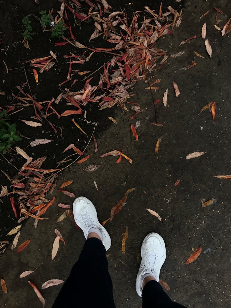 Top View Of Legs In White Snickers On Sidewalk With Leaves In Autumn