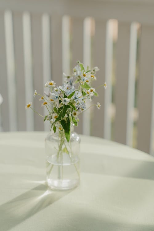 Free Белые цветы в прозрачной стеклянной вазе на белой керамической раковине Stock Photo