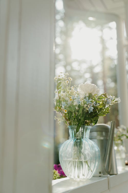 Fotobanka s bezplatnými fotkami na tému biele kvety, dekorácia, jasný