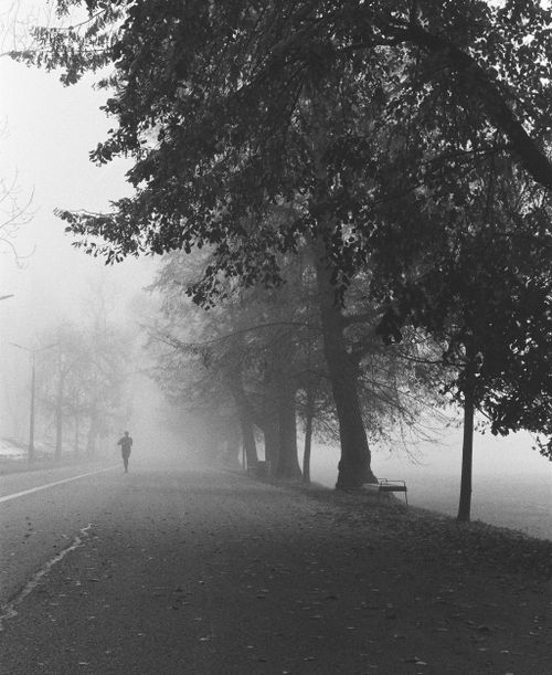 Free A lone runner moves through a foggy park, surrounded by tall trees shrouded in mist. Stock Photo