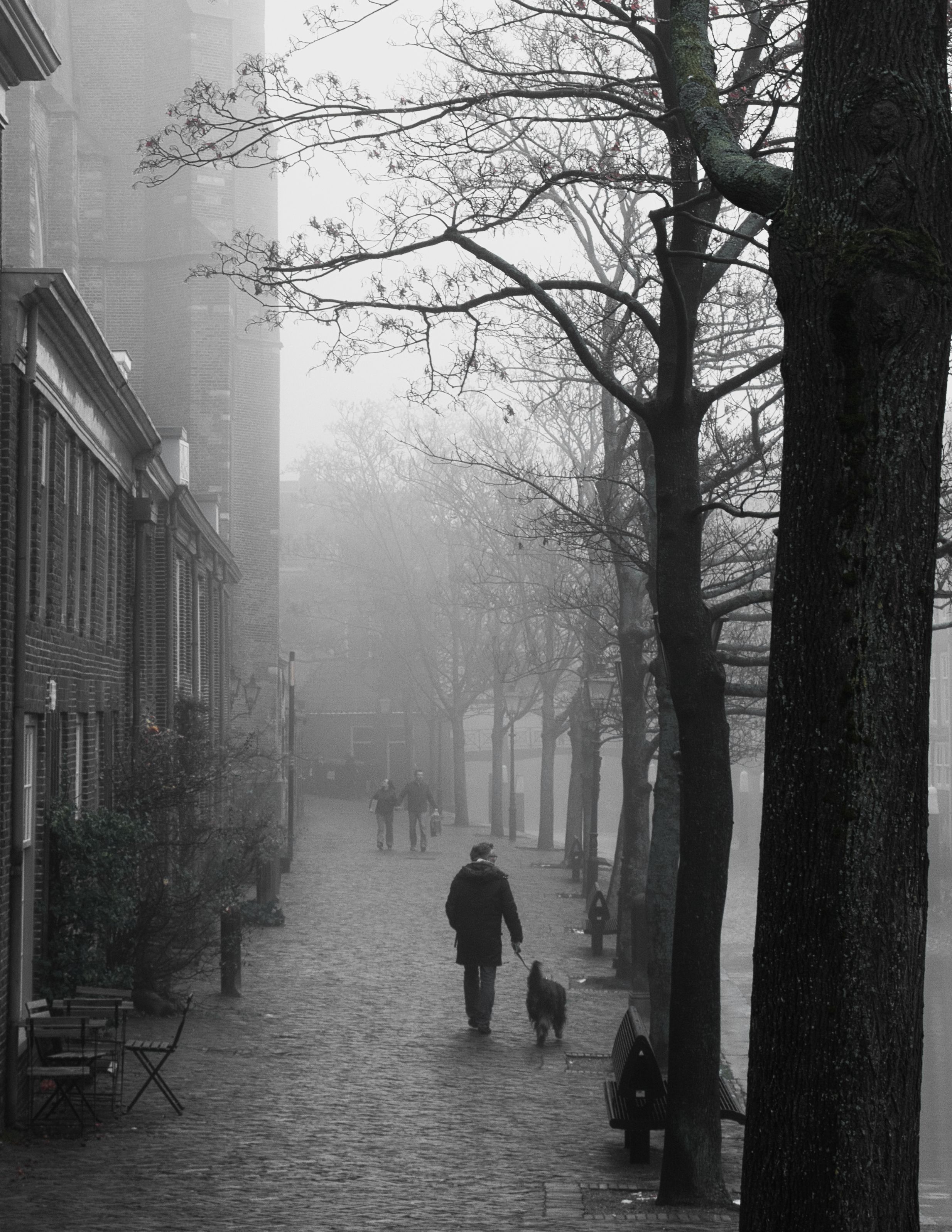 Grayscale Photo of People Walking on the Street · Free Stock Photo