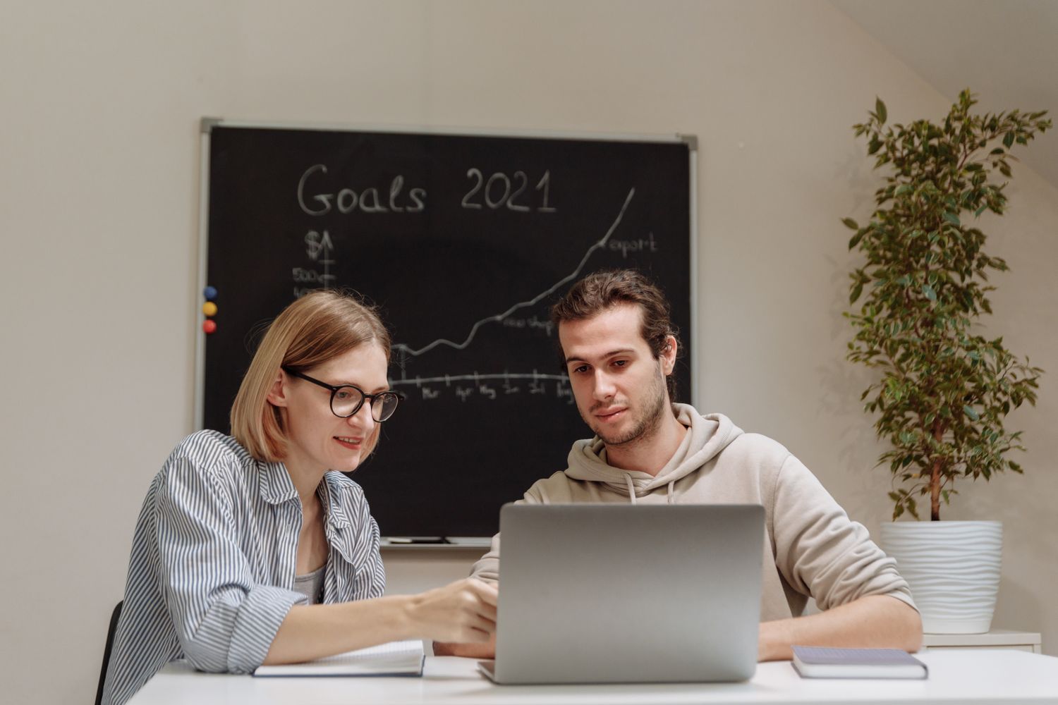 Fallstudie Profitabilität