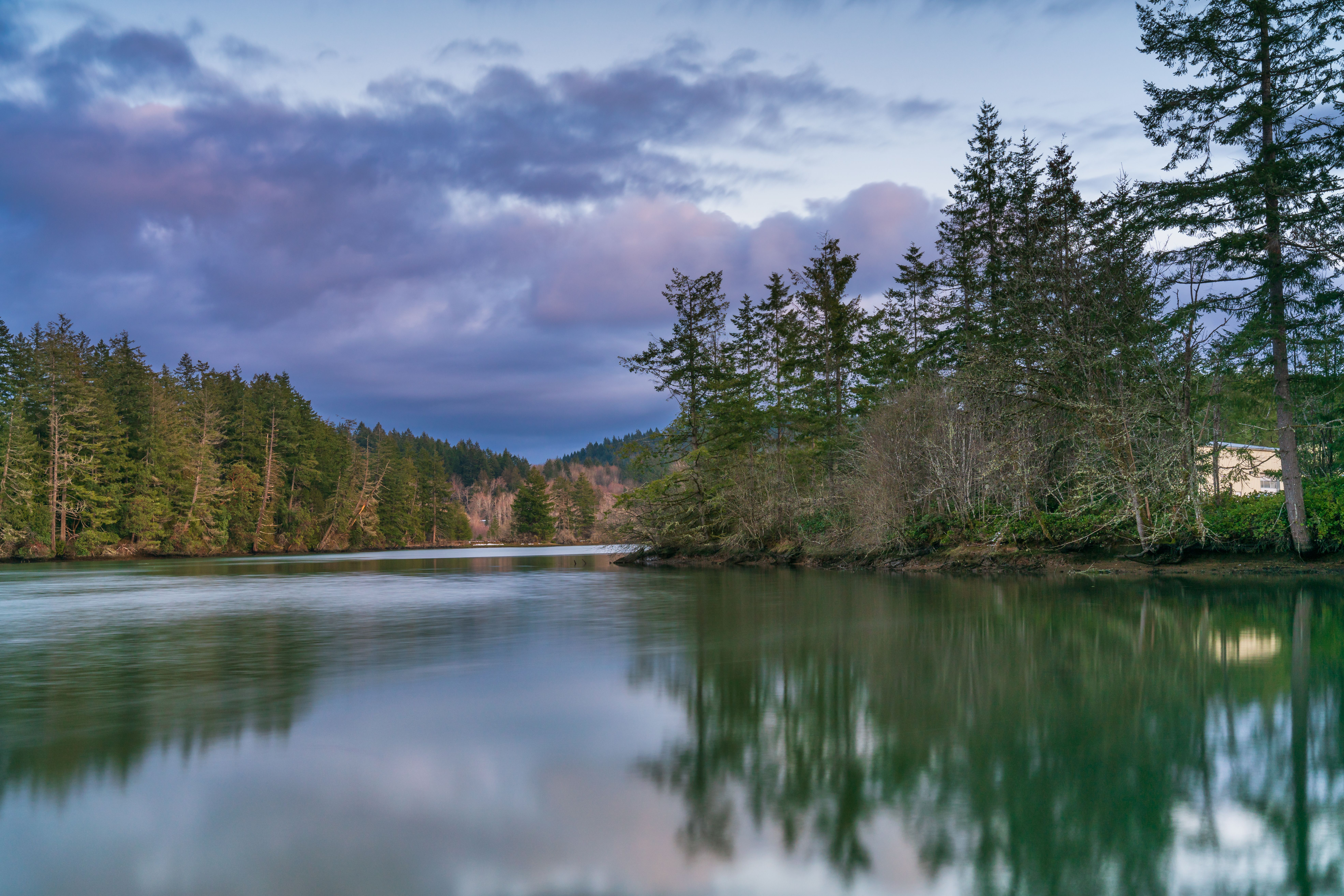 Green Trees Beside Lake Under Cloudy Sky · Free Stock Photo