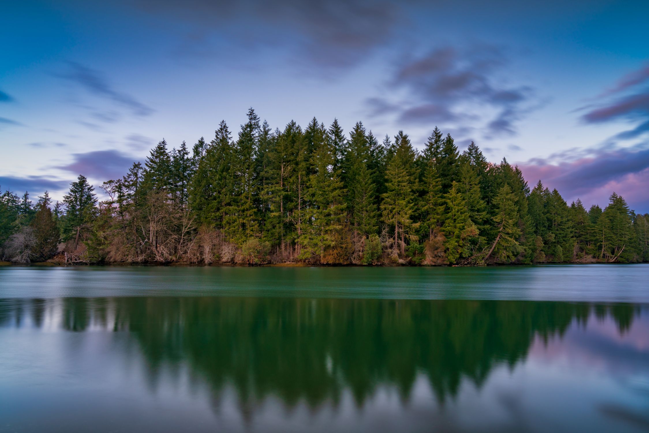 Green Trees Beside Body of Water Under Blue Sky · Free Stock Photo