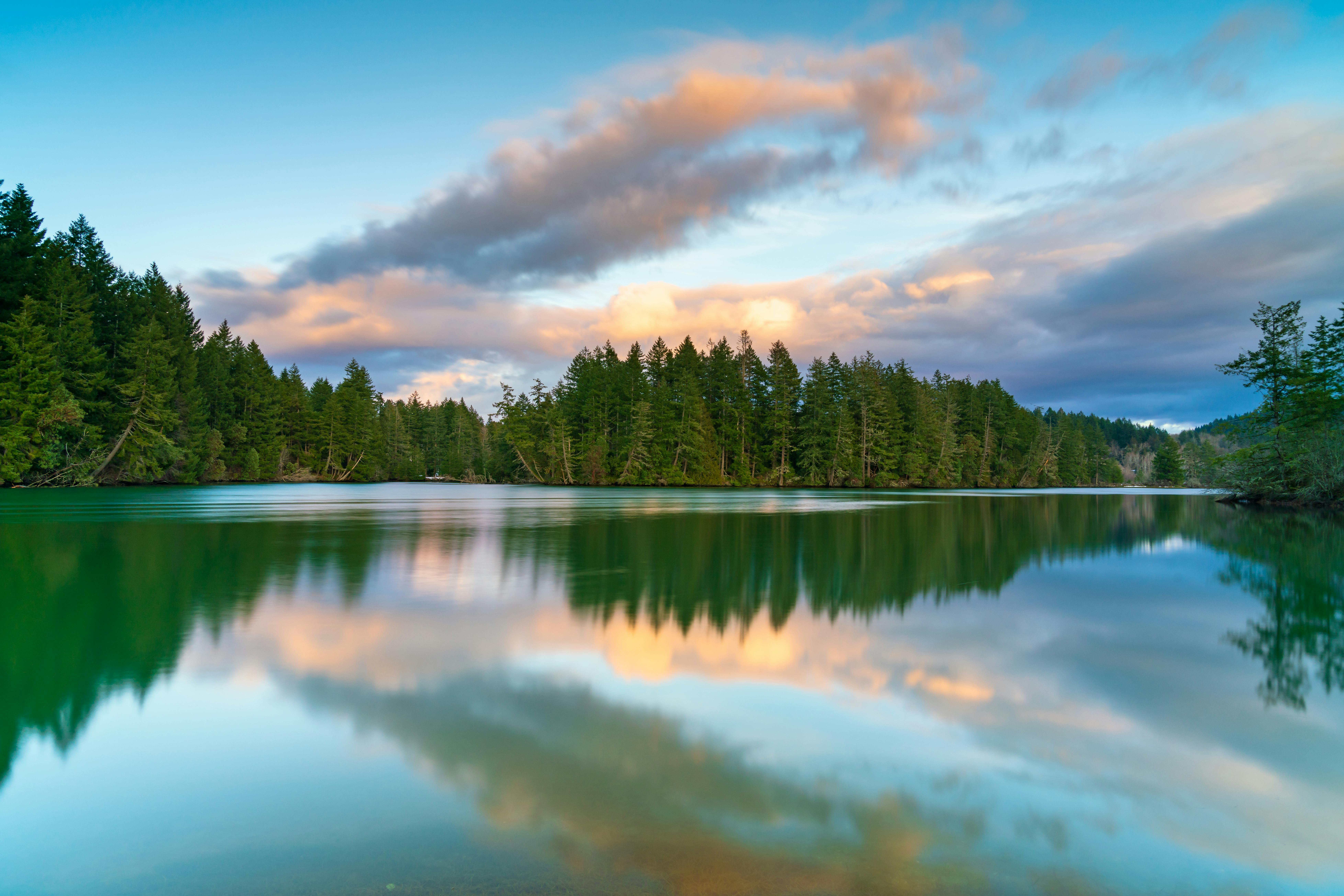 Human digital identity and AI hybrid legal framework concept