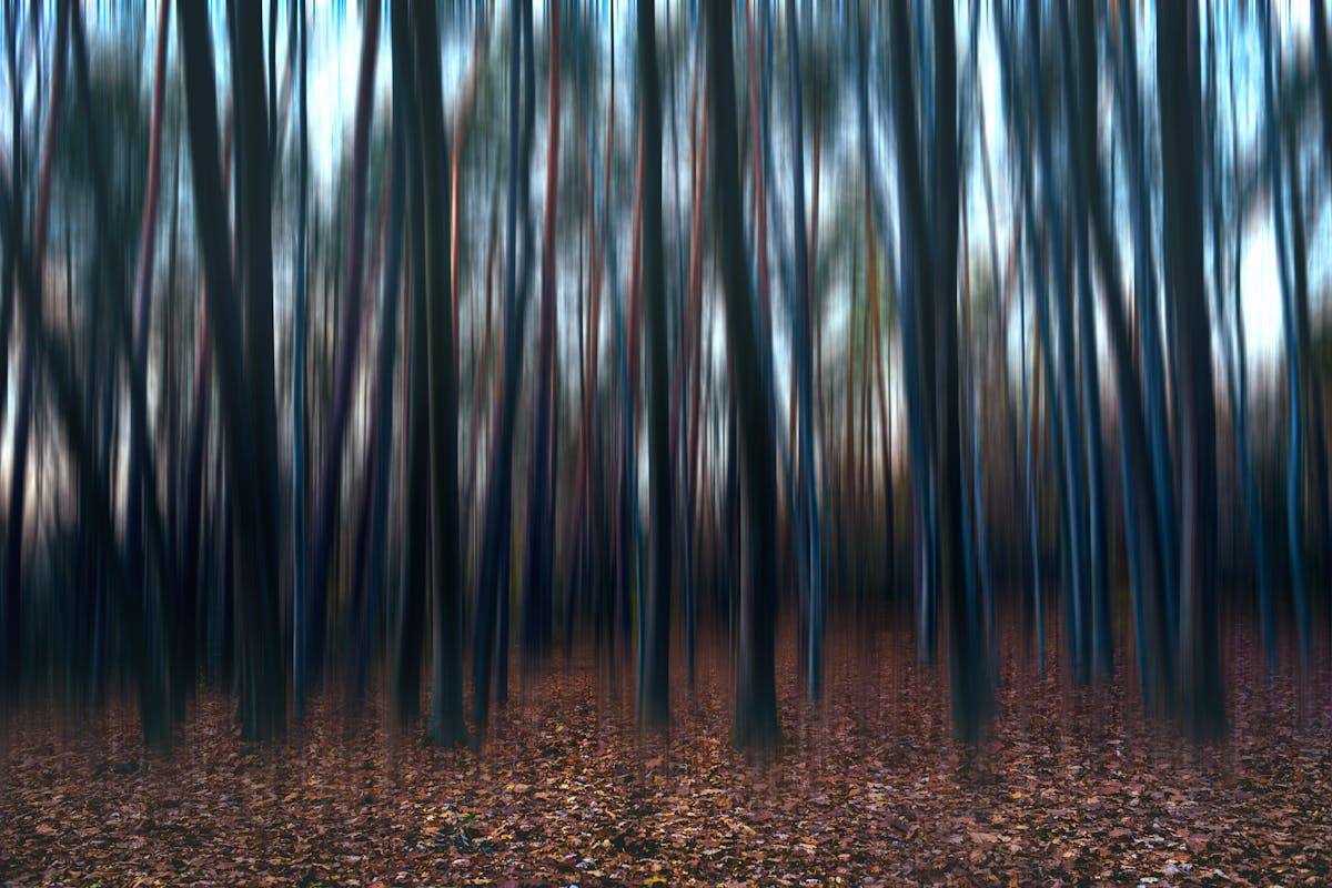 Old game cartridges and a vintage game console on a desk