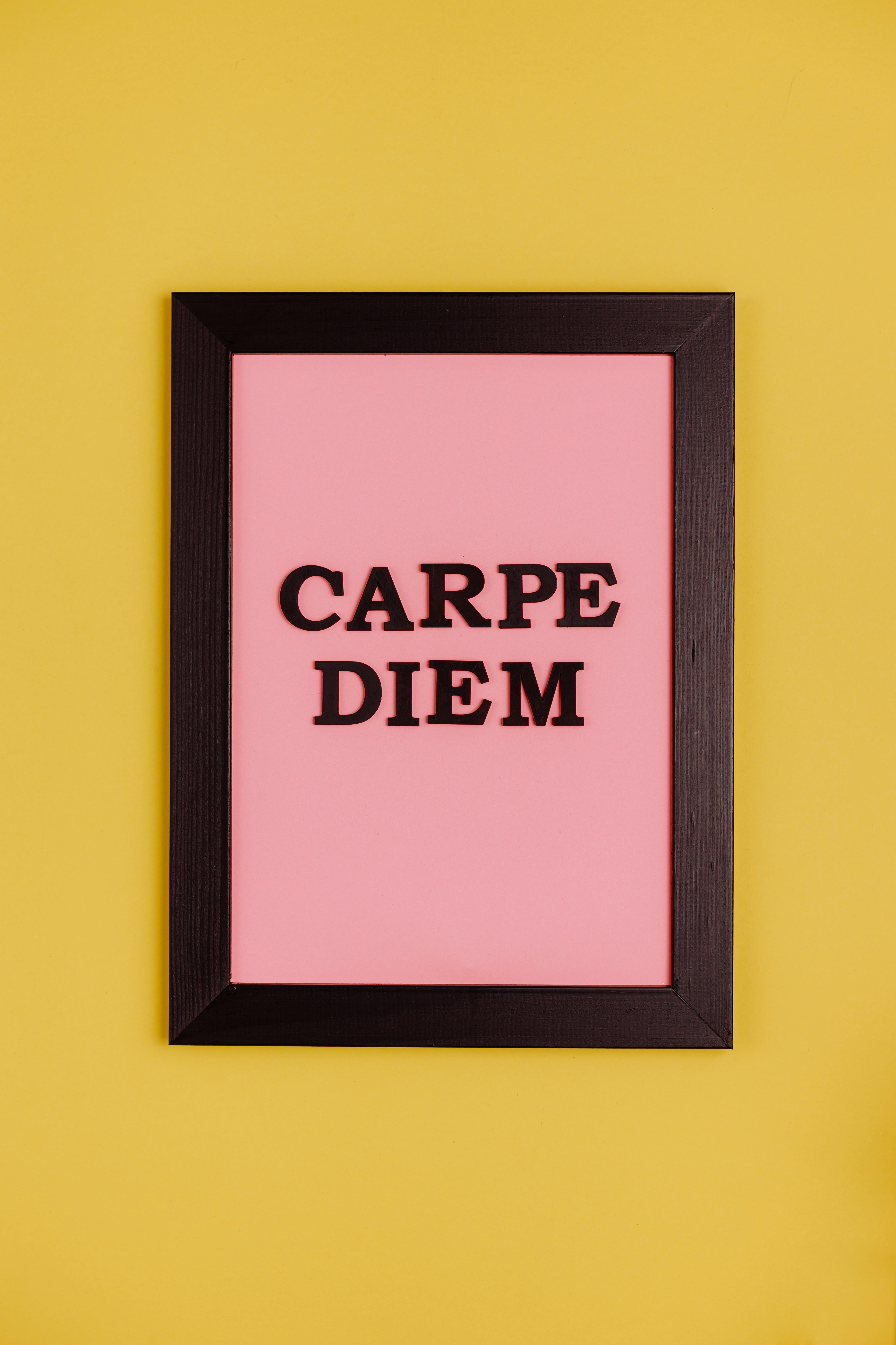 Carpe Diem Images | Free Photos, PNG Stickers, Wallpapers & Backgrounds -  rawpixel