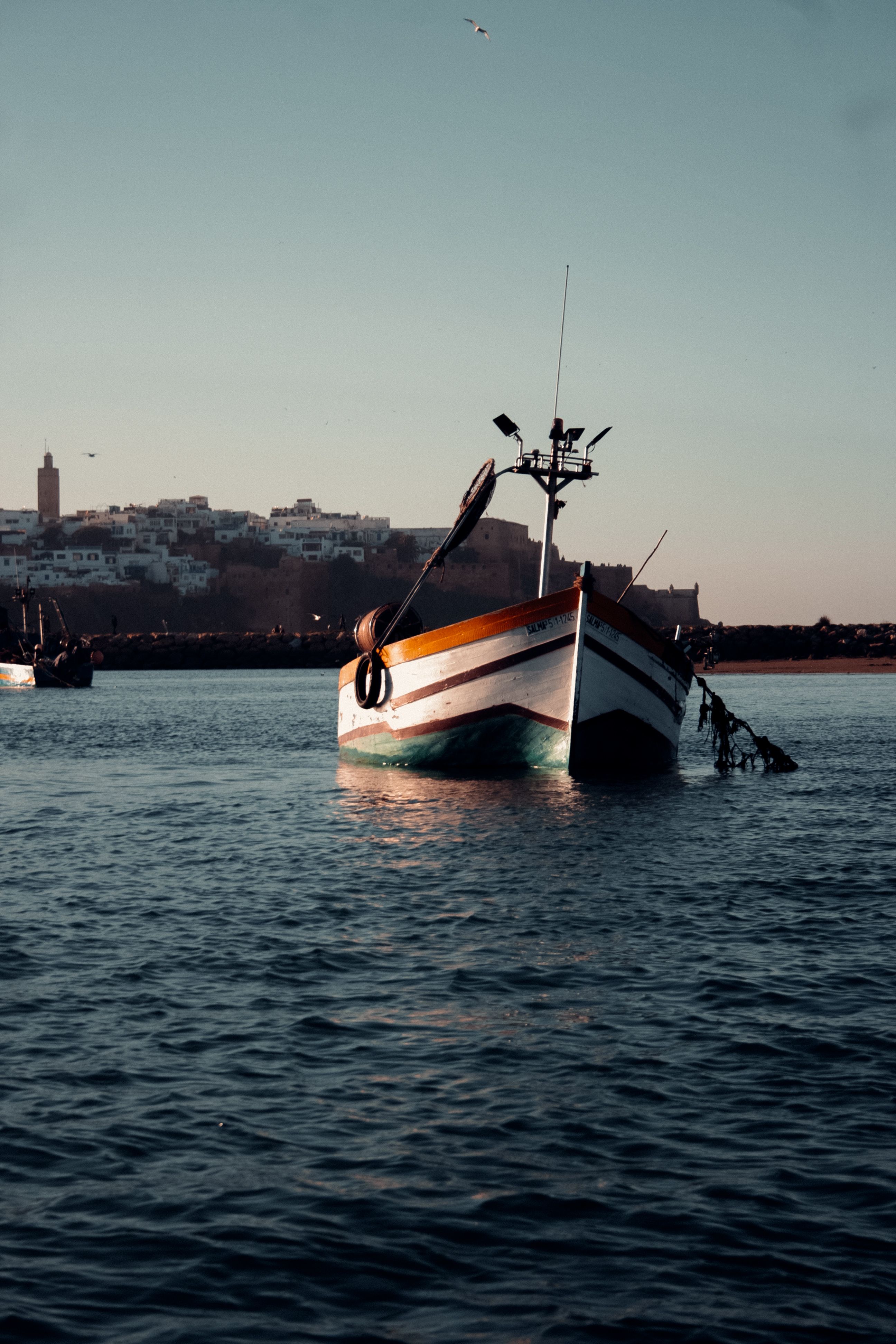 White and Red Boat on Sea · Free Stock Photo