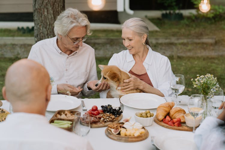 An Elderly Couple Feeding Their Pet Dog