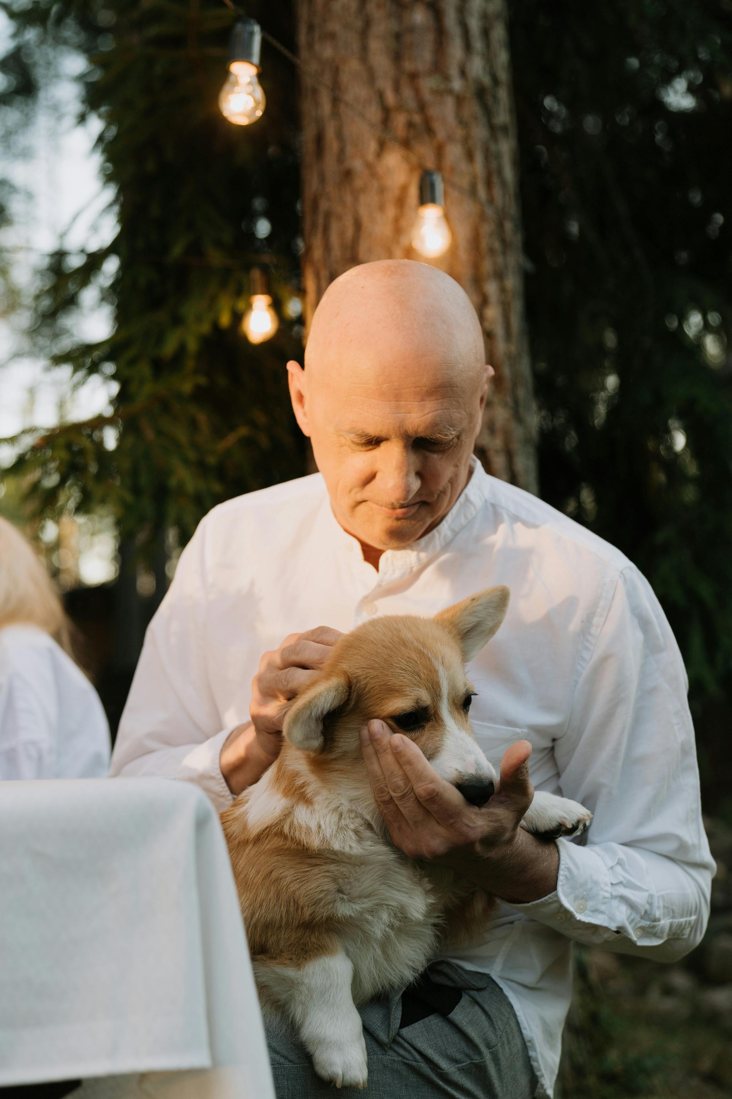 a man holding a brown and white dog