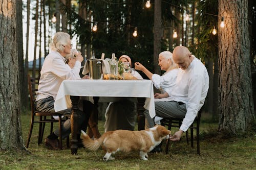 Man in White Dress Shirt Sitting on Chair Feeding a Dog