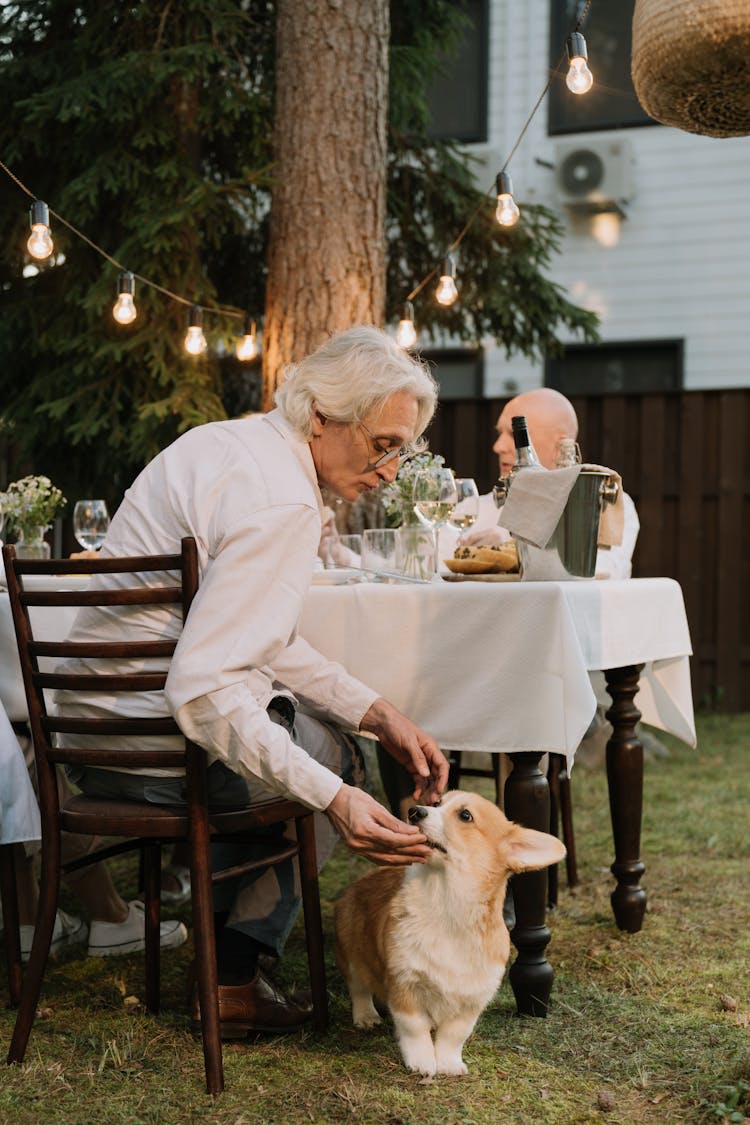 A Man Feeding His Dog