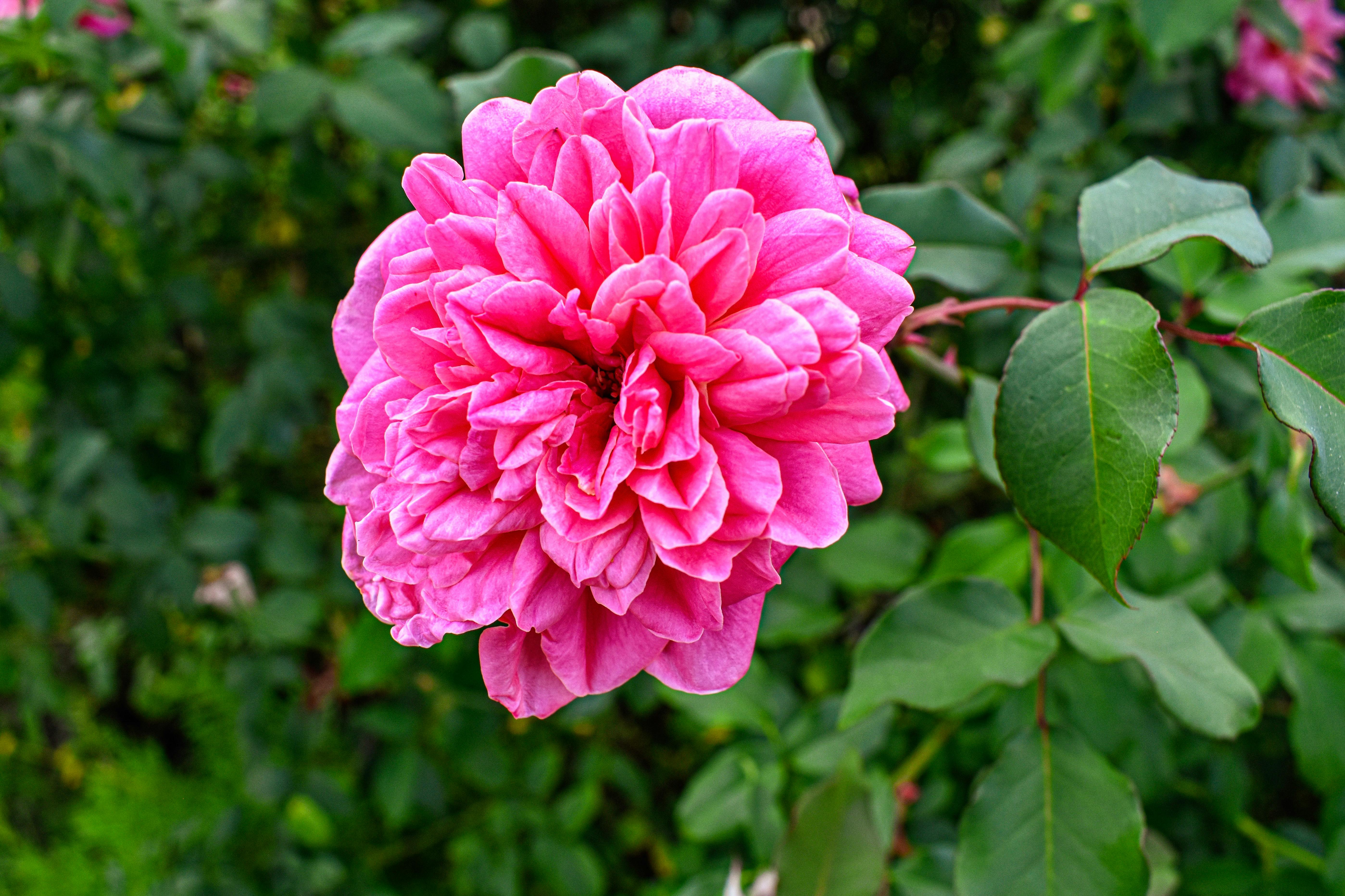 Modern laboratory with scientific equipment