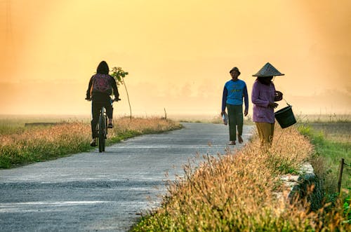 Foto stok gratis agrikultura, agronomi, alam