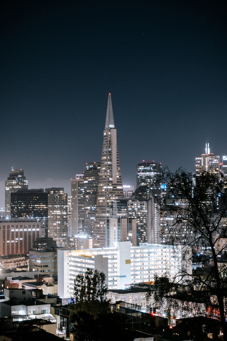 The City Of San Francisco At Night