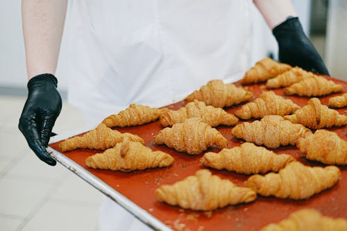 Free Person Holding a Tray of Freshly Baked Croissant Stock Photo
